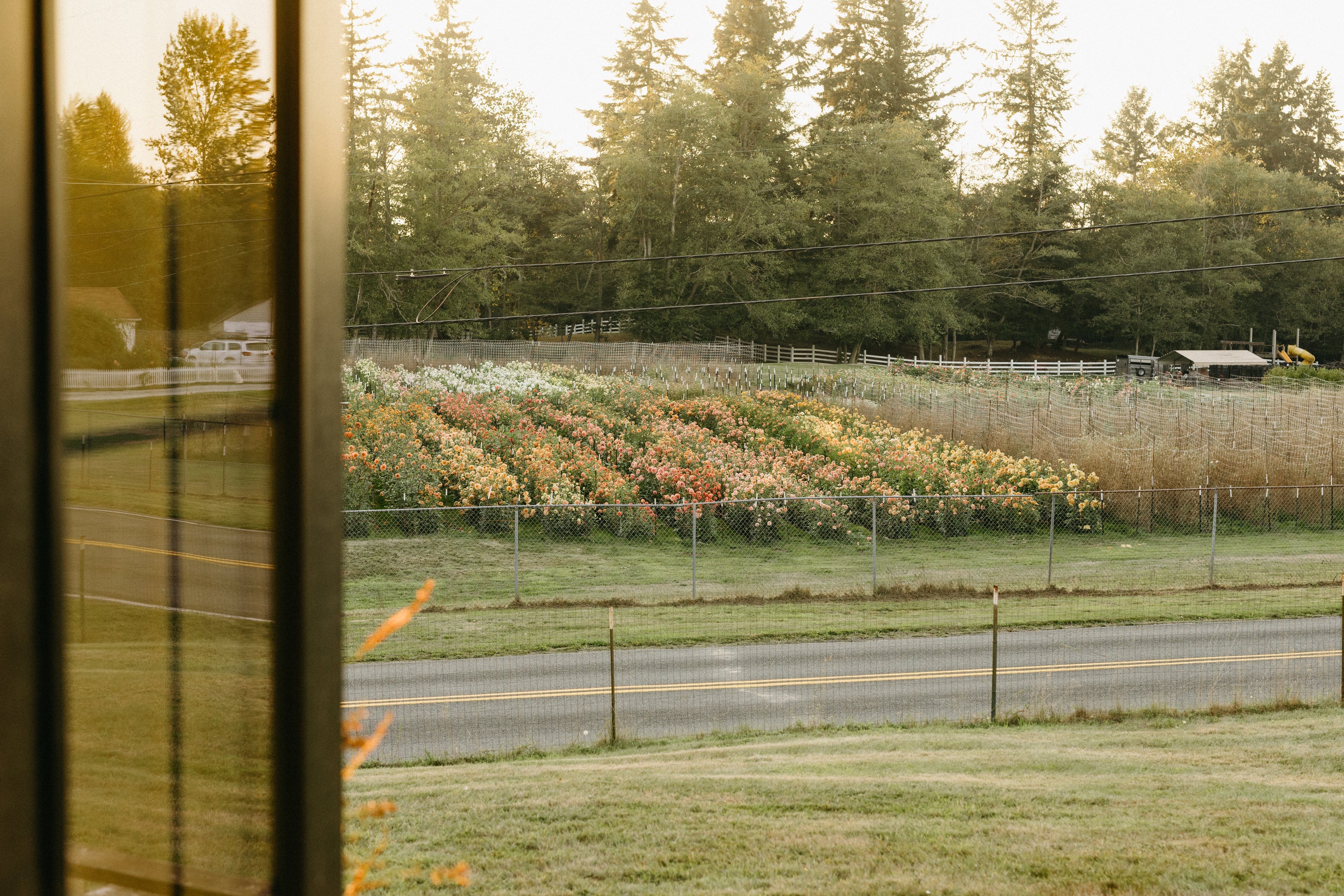 Garden Getaway Washington Vacation Rental